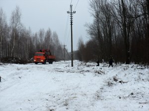 В Нижнеломовском районе сотрудники полиции раскрыли незаконную рубку деревьев на 1 000 000 рублей для установки ЛЭП